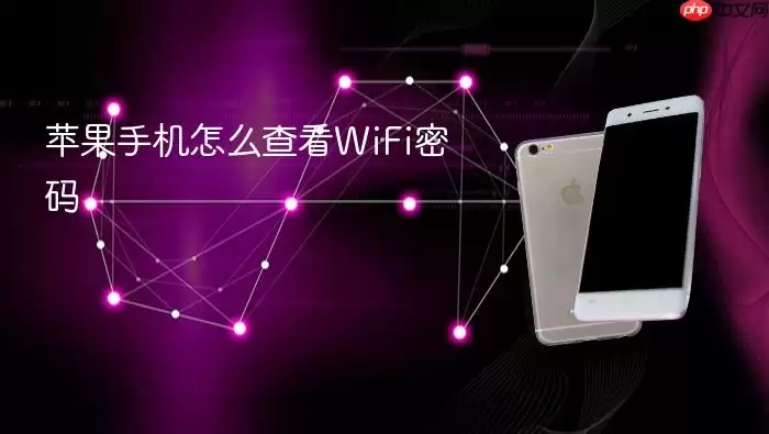 苹果手机如何查看WiFi密码