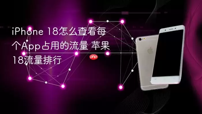 iPhone 18如何查看每个App的流量使用情况 苹果18流量排行