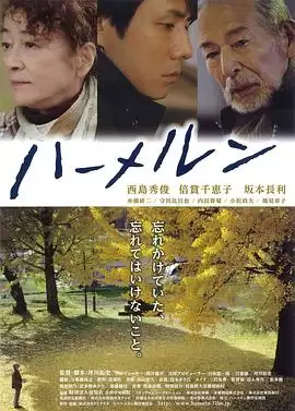 《哈默尔恩》电影剧情介绍