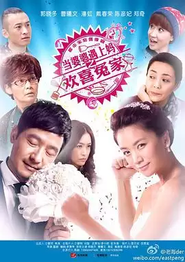 电视剧当婆婆遇上妈之欢喜冤家剧情介绍