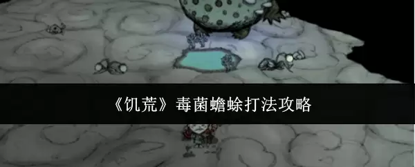 《饥荒》毒菌蟾蜍:打法攻略