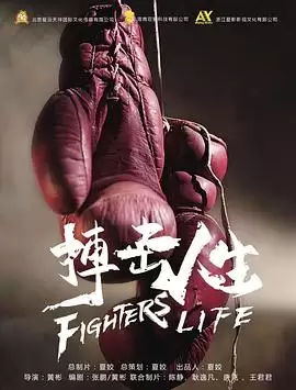 影片《搏击人生》剧情介绍
