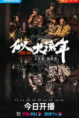 电视剧《似火流年》剧情介绍