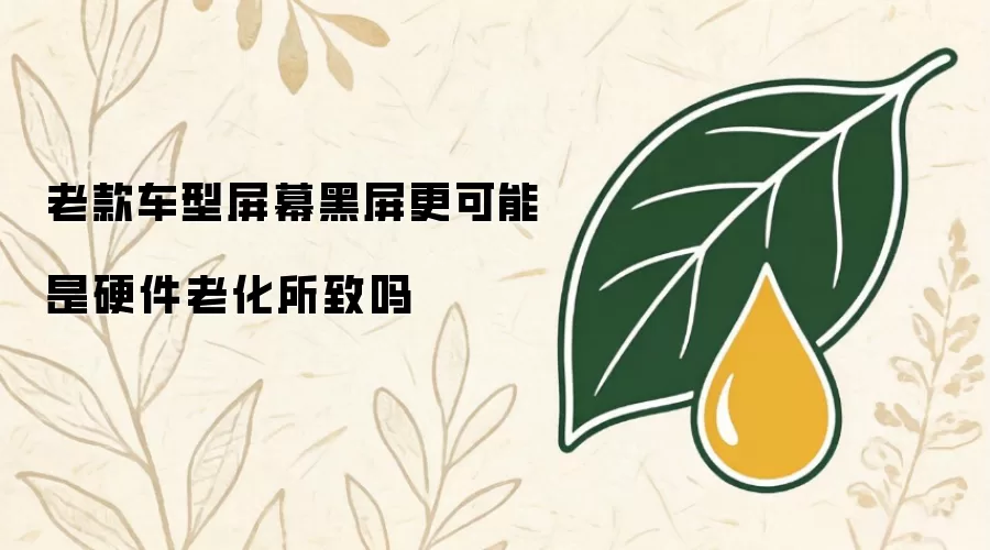老款车型屏幕黑屏更可能是硬件老化导致吗
