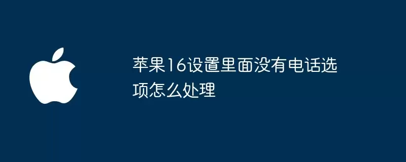 苹果16设置里面没有电话选项怎么解决