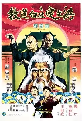 电影《洪文定三破白莲教》剧情介绍