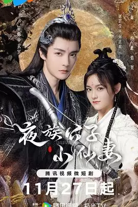 电视剧《夜族公子小仙妻》剧情简介