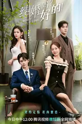 电视剧《结婚吗？好的！》剧情简介