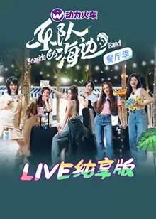 综艺《乐队的海边 LIVE纯享版》剧情介绍