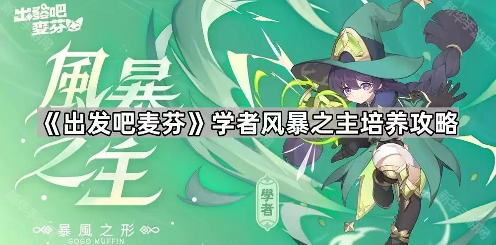 学者风暴之主培养攻略 出发吧麦芬