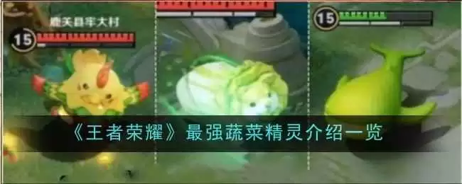 王者荣耀s43怎么种菜