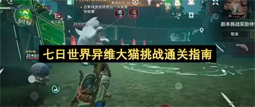 七日世界异维大猫挑战通关攻略
