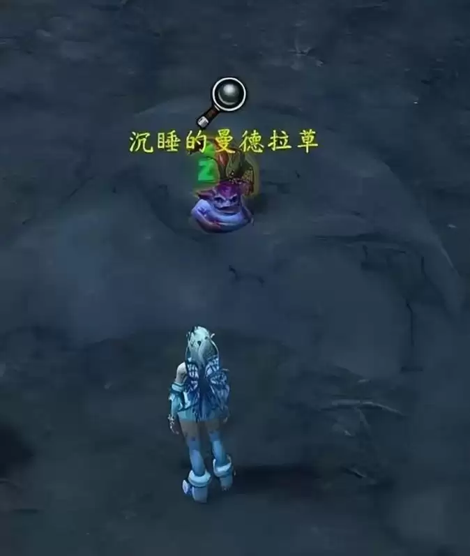 魔兽世界沉睡的曼德拉草宠物如何获得