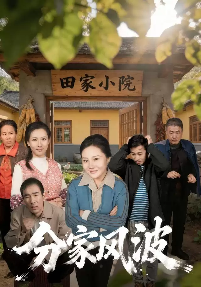 短剧《分家风波》剧情梗概