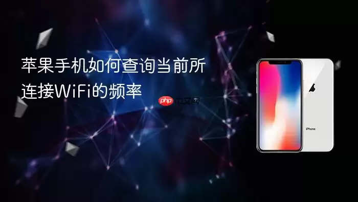 苹果手机怎样查询当前所连接WiFi的频率