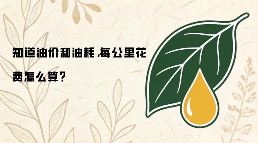 知道油价和油耗，每公里花费怎么算？