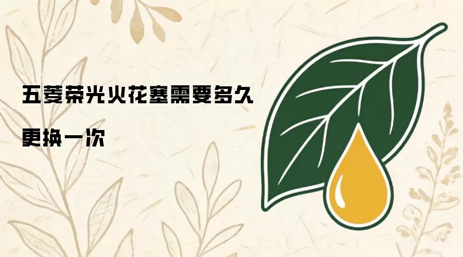 五菱荣光火花塞需要多久更换一次