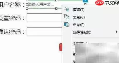 Axure文本框重置教程