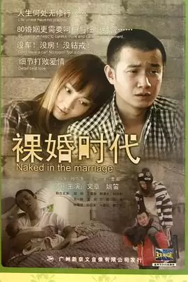 电视剧《裸婚时代2011》剧情介绍