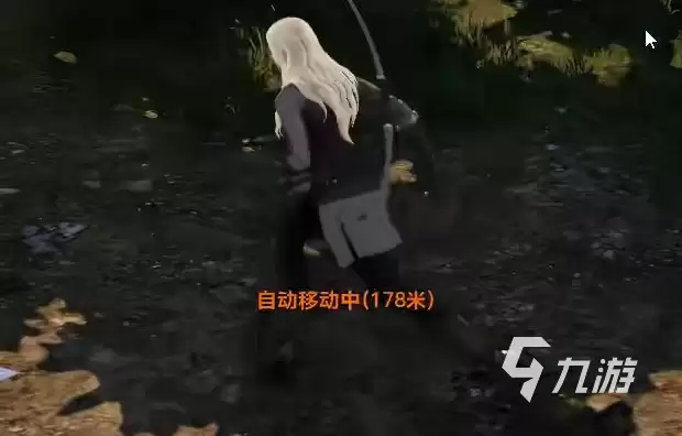 天堂2盟约骑士职业玩法详解与入门指南