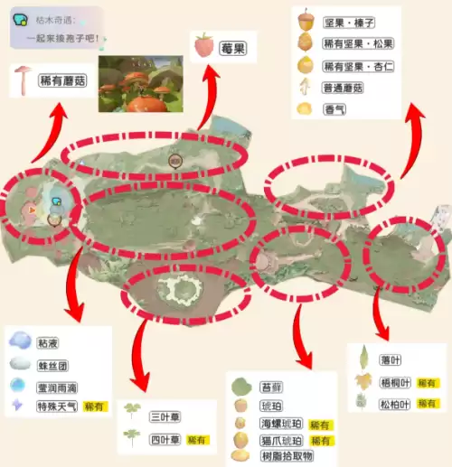 粒粒的小人国采集点有哪些 全采集点汇总