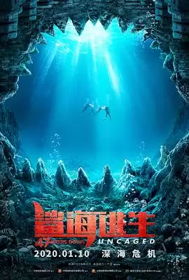 电影《鲨海逃生》剧情介绍