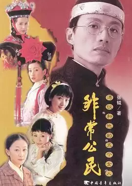 电视剧《非常公民》剧情介绍