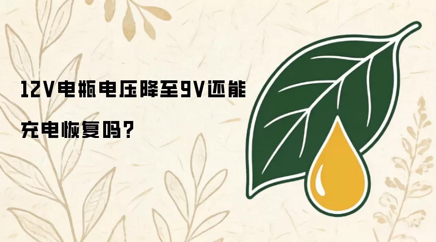 12V电瓶电压降到9V还能充电恢复吗