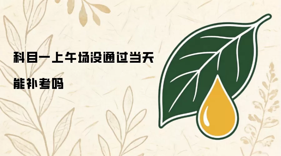 科目一上午场没考过当天能补考吗