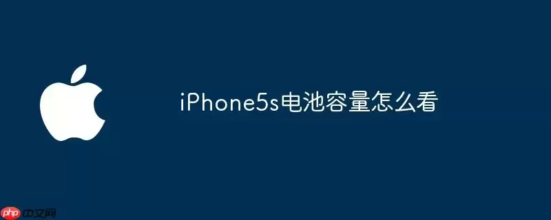 iPhone5s电池容量怎样看