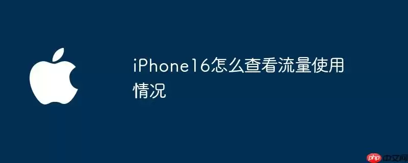 iPhone16如何查看流量使用情况