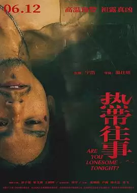 影片《热带往事》剧情简介