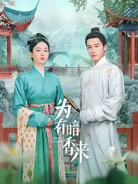 电视剧《为有暗香来》剧情简介