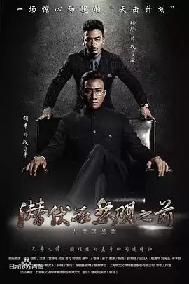 电视剧《潜伏在黎明之前》剧情简介
