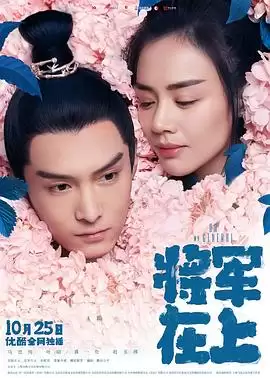 《将军在上》电视剧剧情介绍