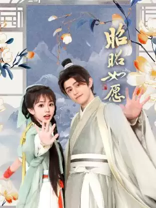 电视剧《昭昭如愿》剧情简介