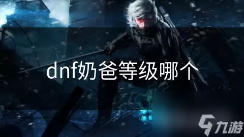 dnf奶爸哪个等级
