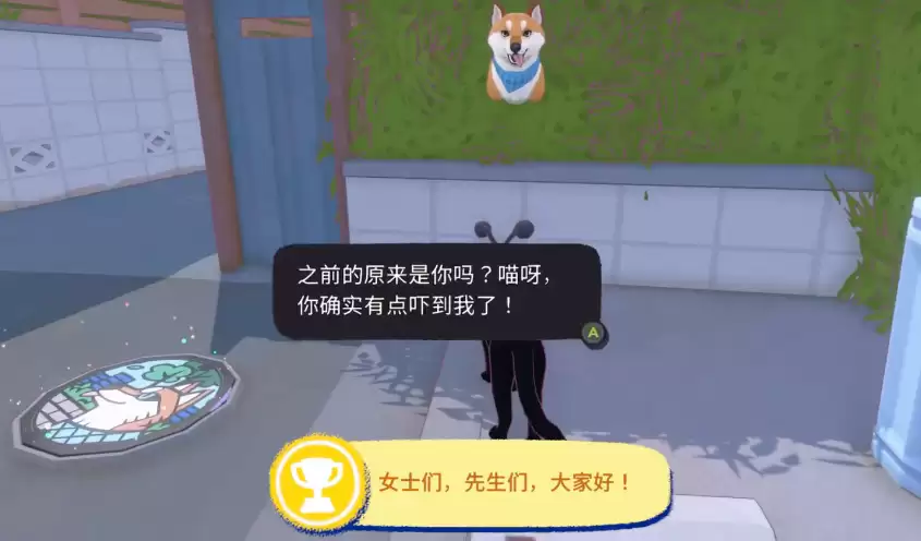 小猫咪大城市生存指南 小猫咪遭遇狗的应对策略与安全建议