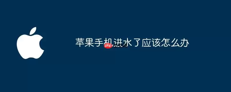 苹果手机进水了该如何处理