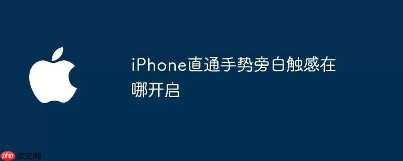 iPhone直通手势旁白触感在何处开启