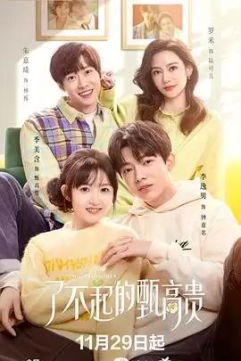 电视剧《了不起的甄高贵》剧情简介