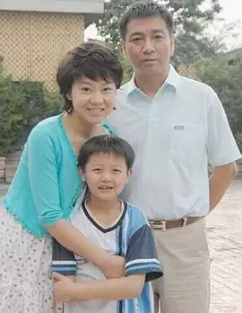 电视剧《回家》剧情简介
