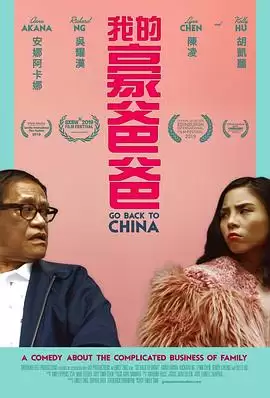 电影《回到中国》剧情介绍
