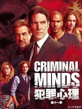 电视剧《犯罪心理第十一季》剧情介绍