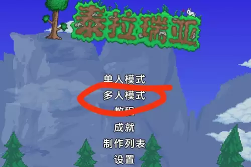 泰拉瑞亚天顶剑指令码及输入方法