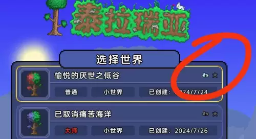 泰拉瑞亚天顶剑指令码及输入方法