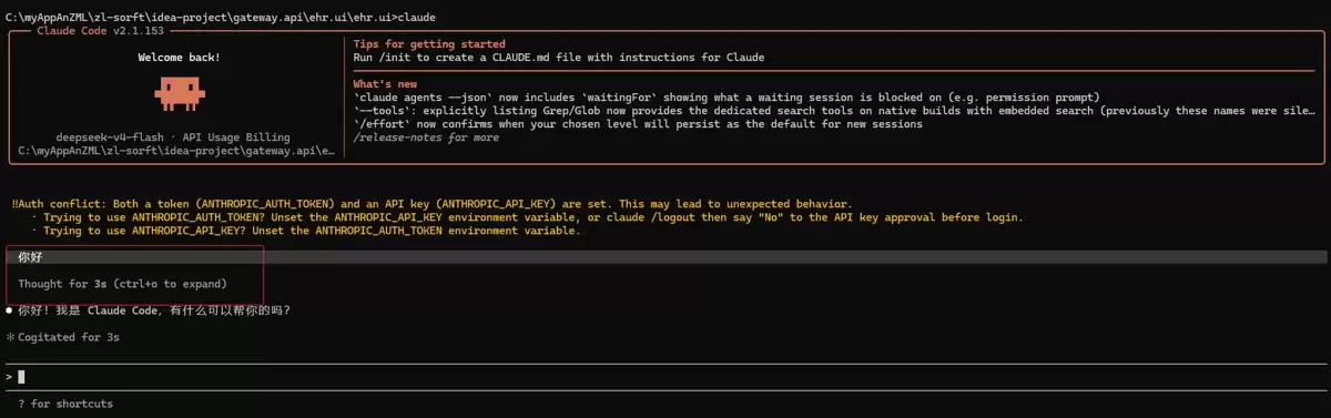 Claude Code 安装和配置完整指南：兼容国产模型，禁止自动更新