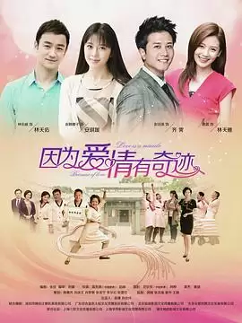电视剧《因为爱情有奇迹》完整剧情介绍