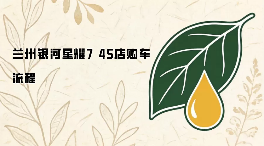 兰州银河星耀7 4S店购车流程