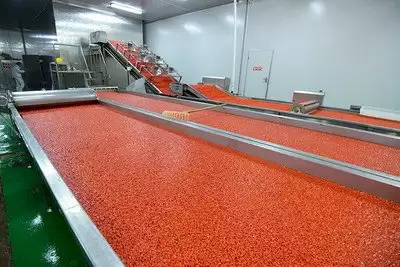 红色沙漠怎样得到工匠之手